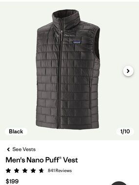 Patagonia Men's Quilted Puff Vest - Black